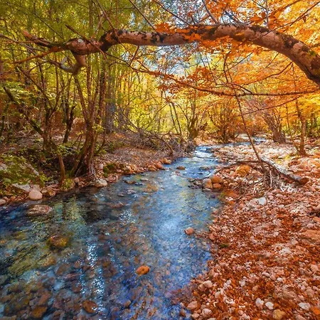 Apartment La Vista Del Lupo *